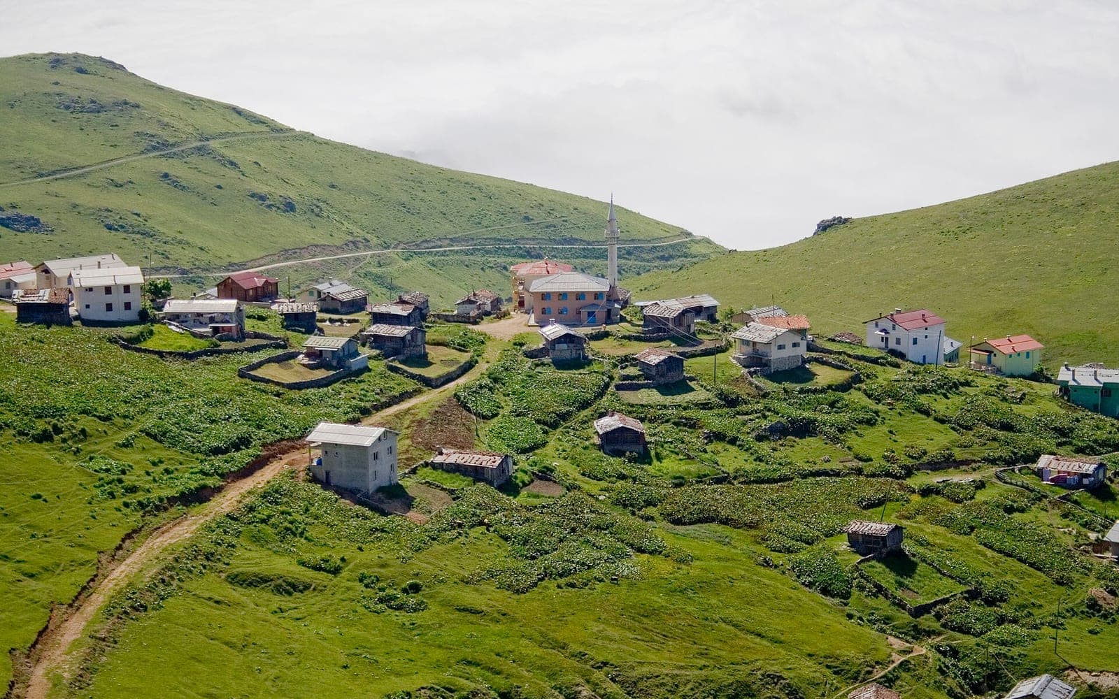 Çaykara yaylaları