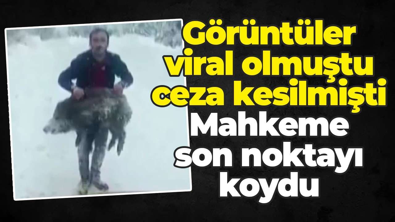 Sinop’ta yavru domuzu elle kurtaran kişiye kesilen 14 bin 991 TL’lik ceza iptal edildi