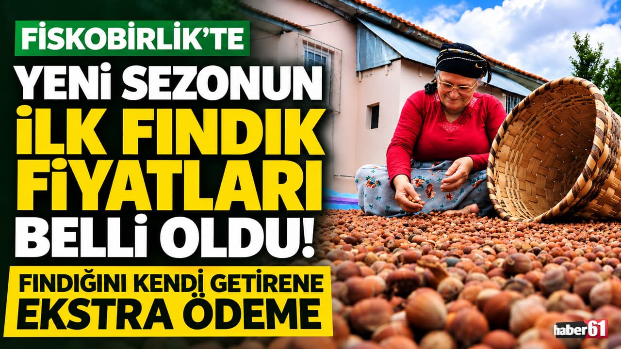 FİSKOBİRLİK 2026-2027 sezonu fındık taban fiyatlarını açıkladı: Giresun 205 TL, Levant 195 TL