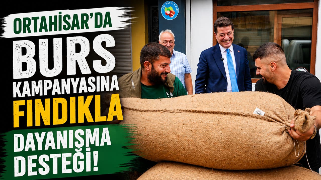 Ortahisar’da burs kampanyasına fındık hasadıyla destek