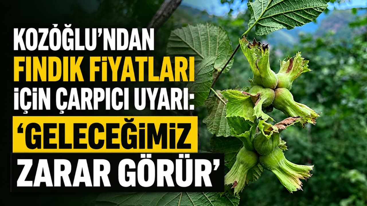 Kozoğlu: Serbest piyasadaki 85 liralık fark üreticiyi mağdur ediyor