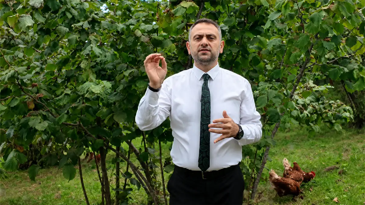 Saadet Partisi’nden fındık fiyatlarına tepki: "Alın teri yok sayılıyor"