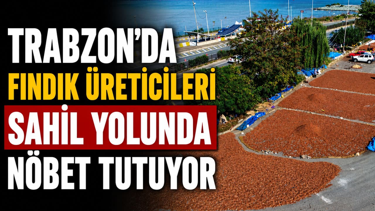 Trabzon üreticileri eğimli araziler yüzünden fındığı sahil yolunda kurutup nöbet tutuyor