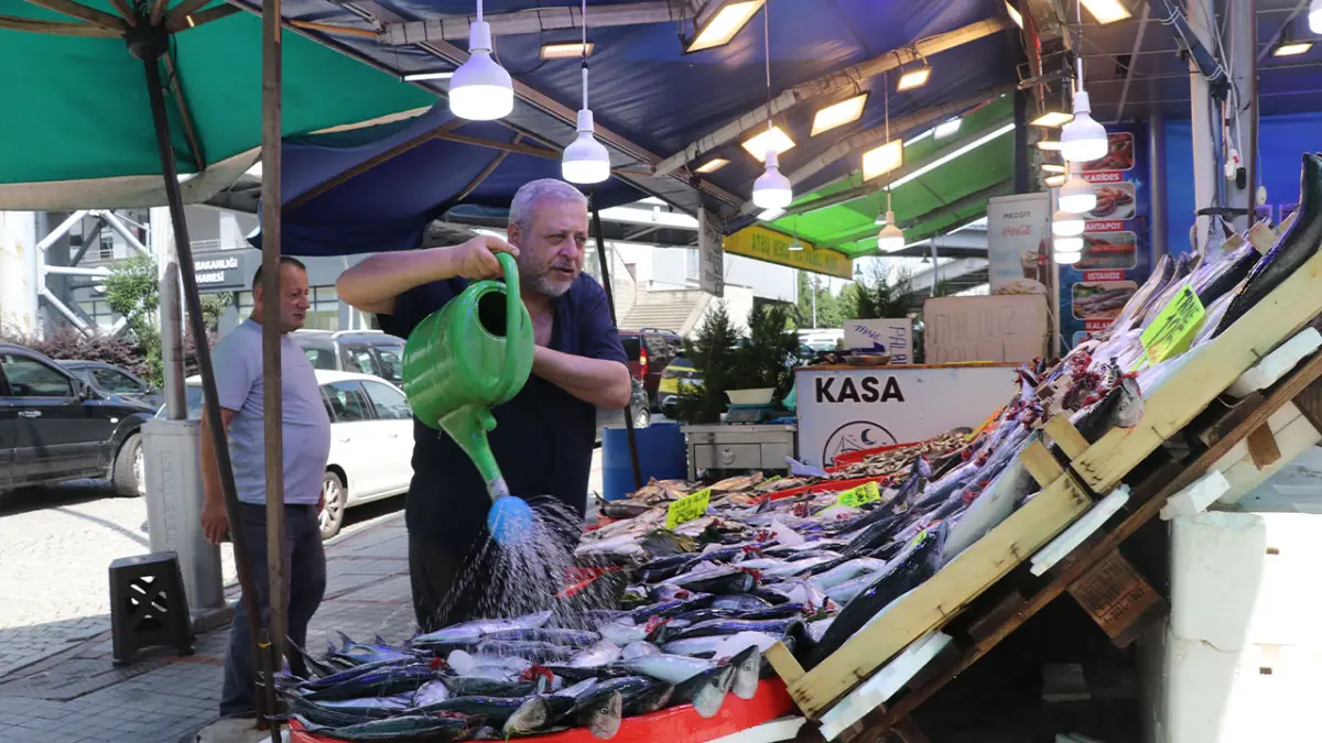 Karadeniz'de palamut bereketi başladı: Tezgahlar doldu