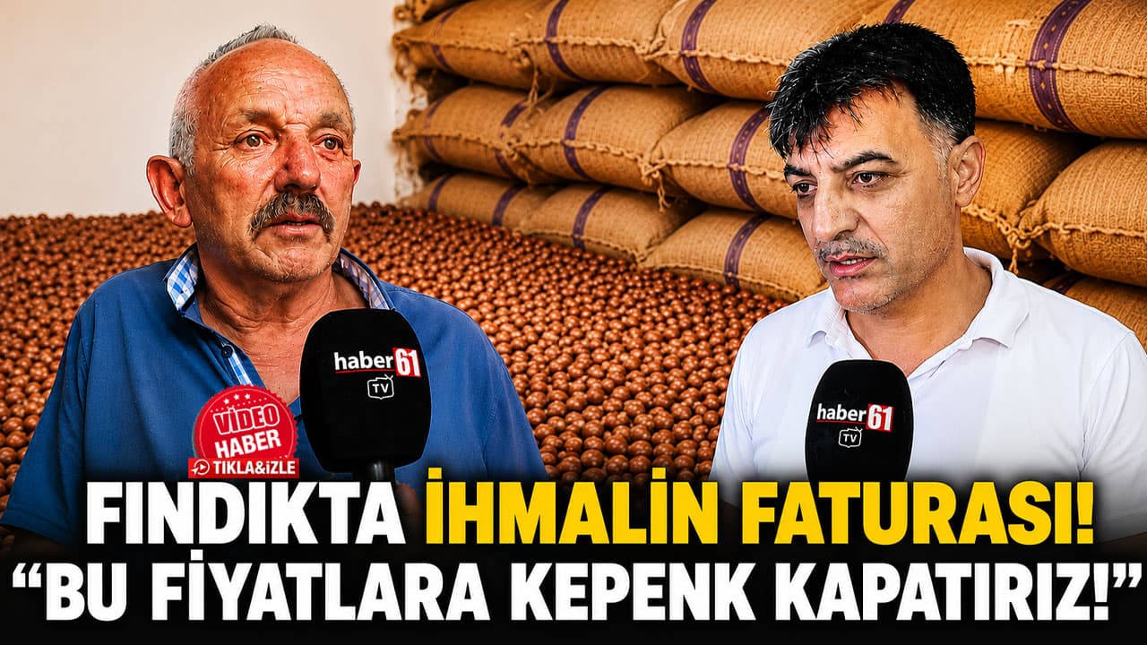 TMO ile Serbest Piyasa Arasında Uçurum: Fındıkta Tüccar ve Üretici Tedirgin