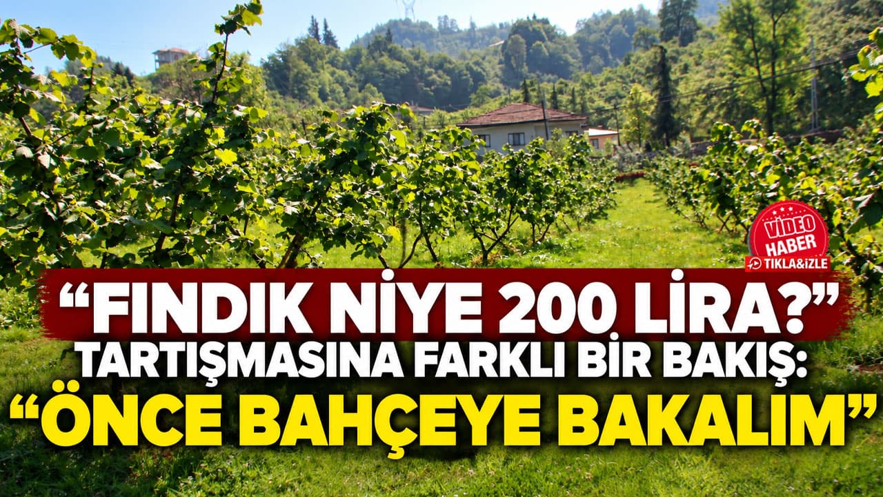Trabzon’da fındık sorunu: Fiyat tartışması bahçe gerçeklerini gölgeliyor