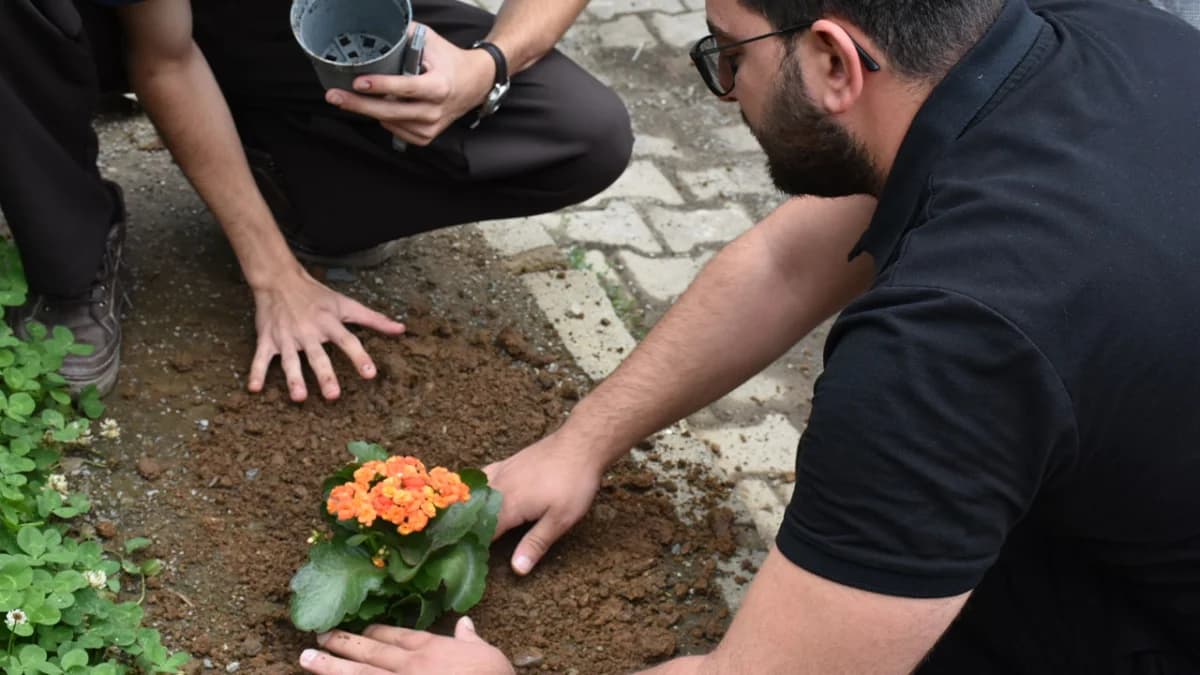 Uzungöl’de gençler “Soil Guardians” projesiyle sürdürülebilirlik için toplandı