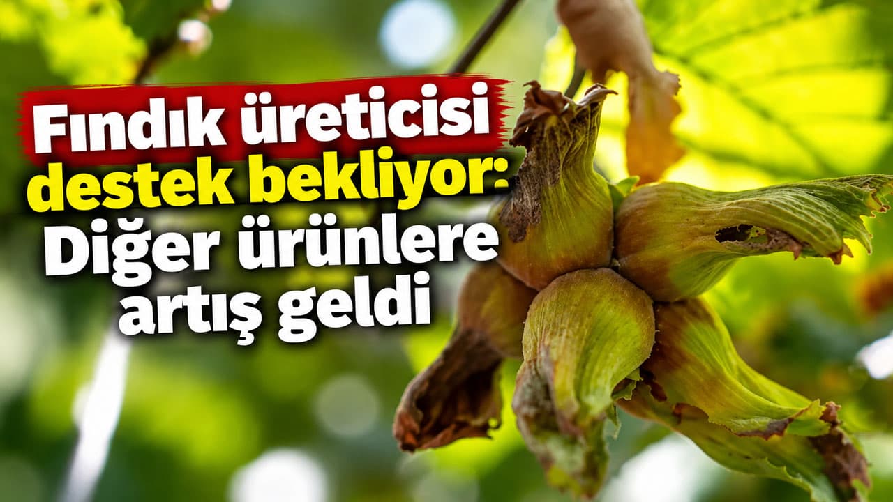 Diğer ürünlere destek arttı, fındık üreticileri yine beklemede