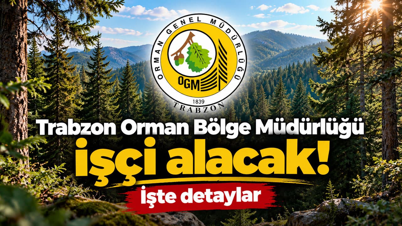 Trabzon Orman Bölge Müdürlüğü üç geçici orman işçisi alacak
