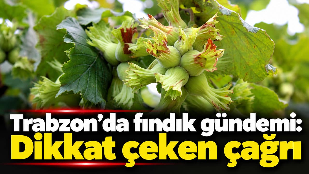 Saadet Partisi Ortahisar Başkanı Turhan’dan fındık için ortak çözüm çağrısı