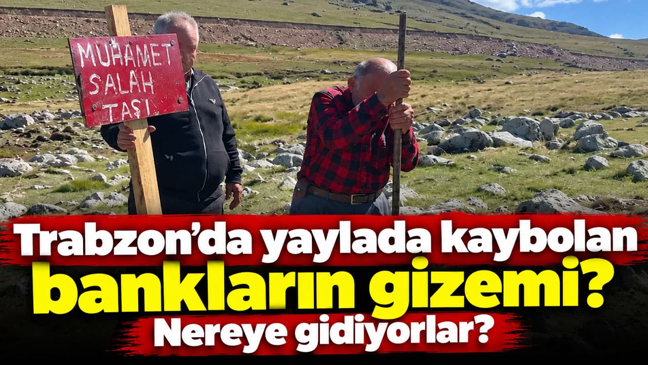 Trabzon’da “Salah Yaylası” tabelası ve bankın kaybolması kamusal hırsızlığı gündeme taşıdı