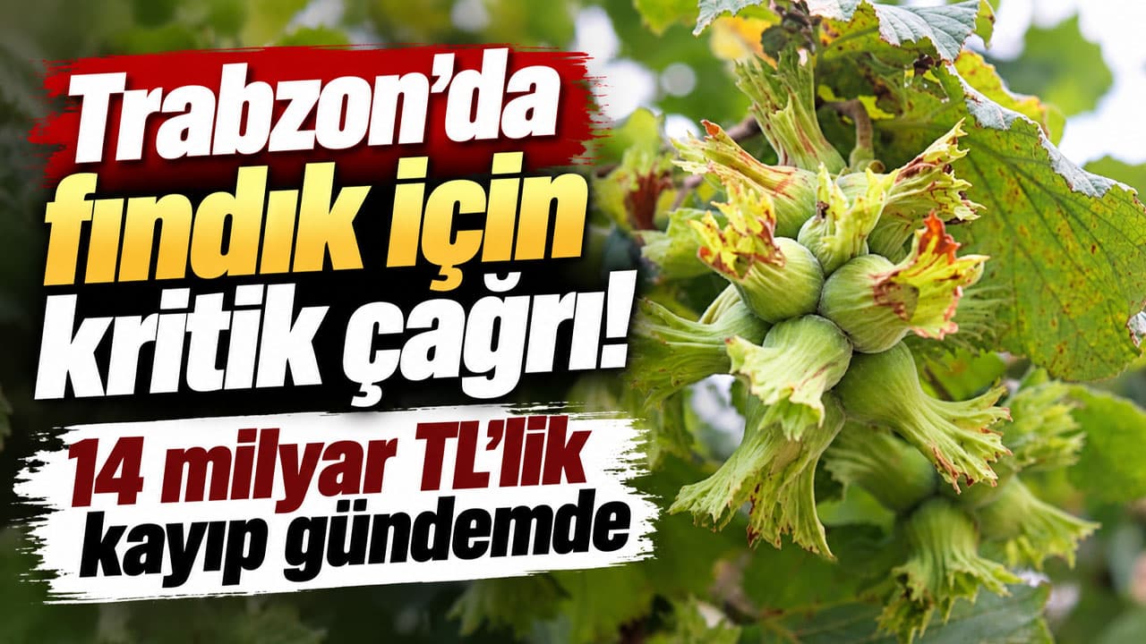 Trabzon’da kalite kaybı yaşayan fındık için değerlendirme çağrısı