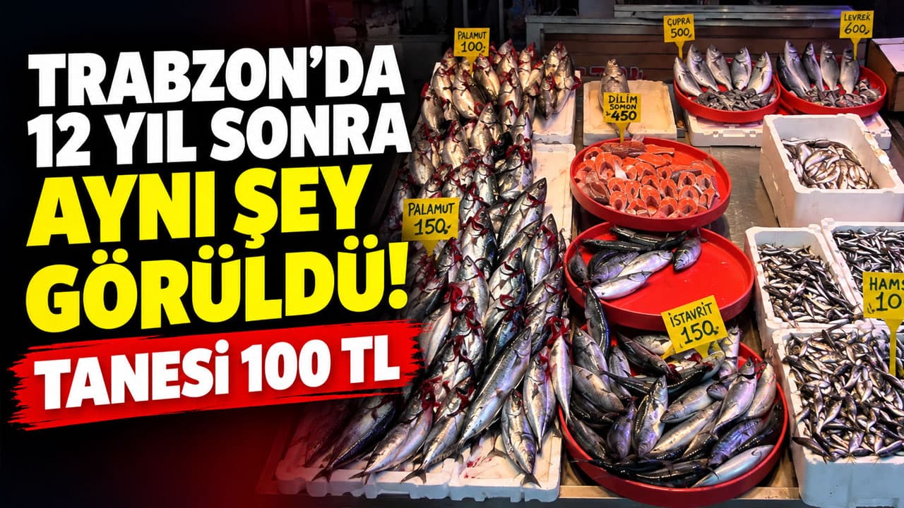 Trabzon’da palamut bereketi 12 yıl sonra geri döndü, tanesi 100 TL