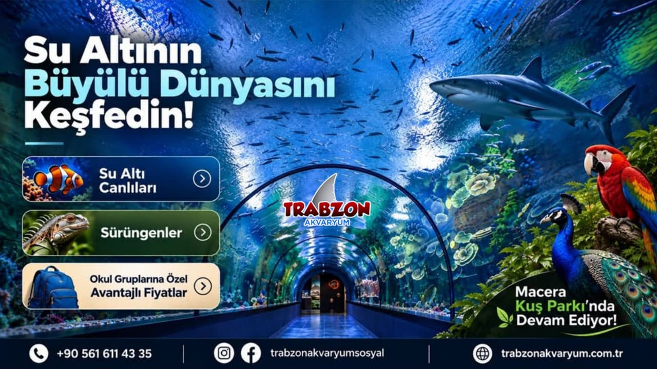 Trabzon'un "Tünel Akvaryumu" adıyla anılan mekan