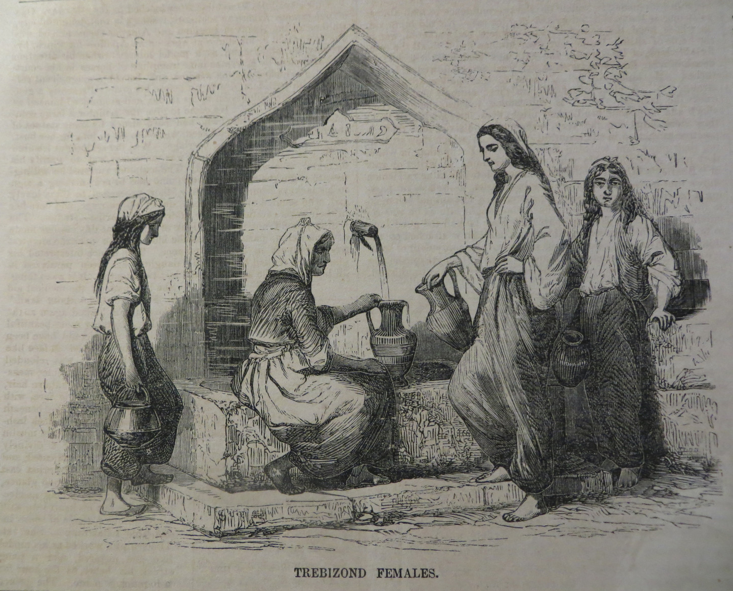 Trebizond Females,