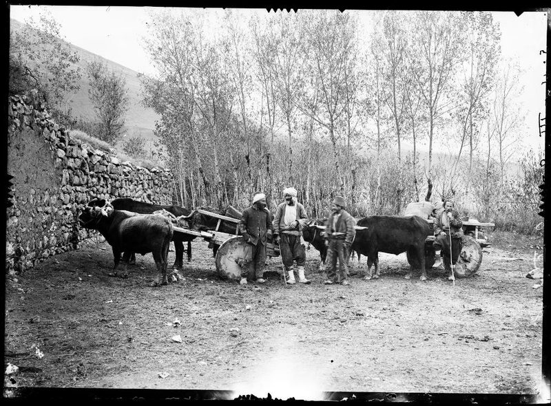Ox-carts outside Trebizond