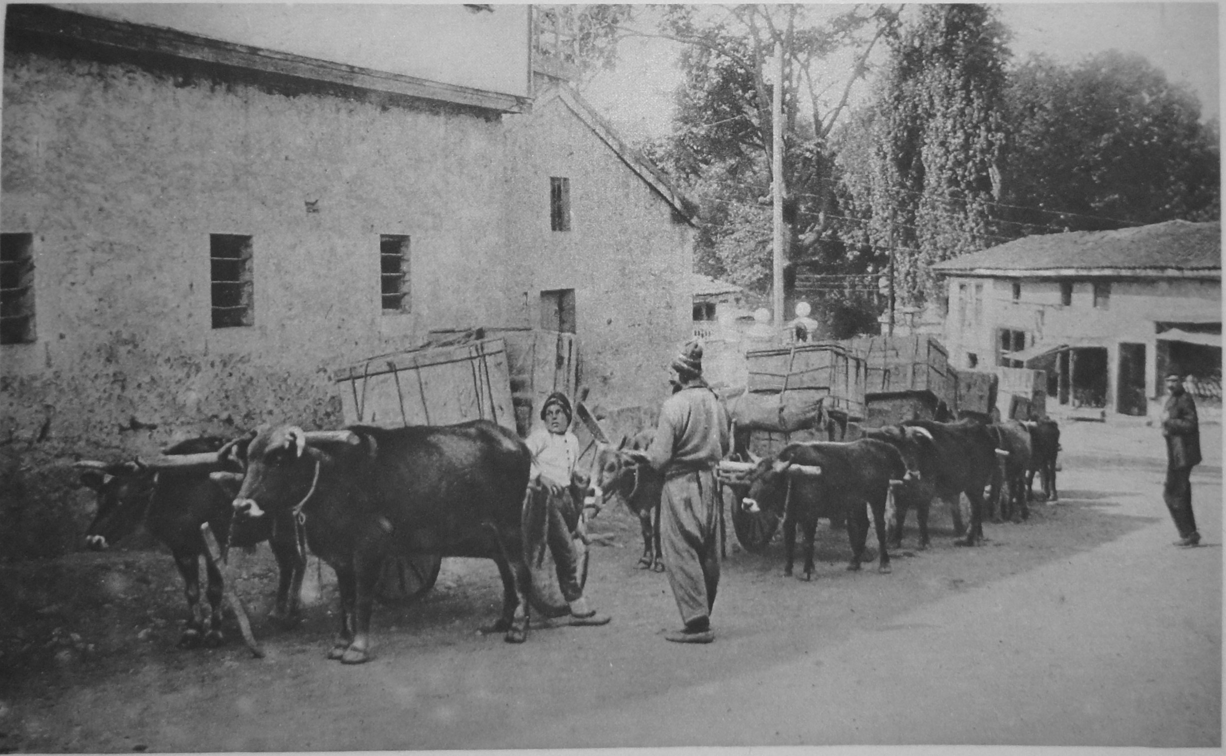 M 2 un convois pour Erzeroum partant de Trébizonde