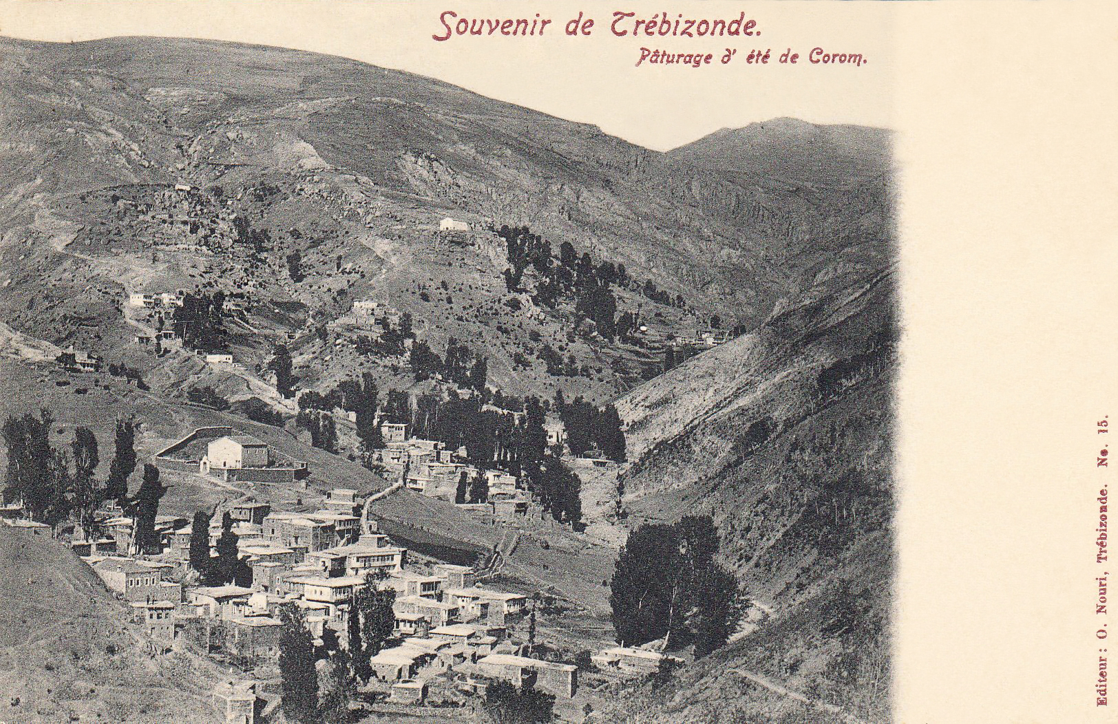 Postcard of Summer grazing in Corum, Trebizond