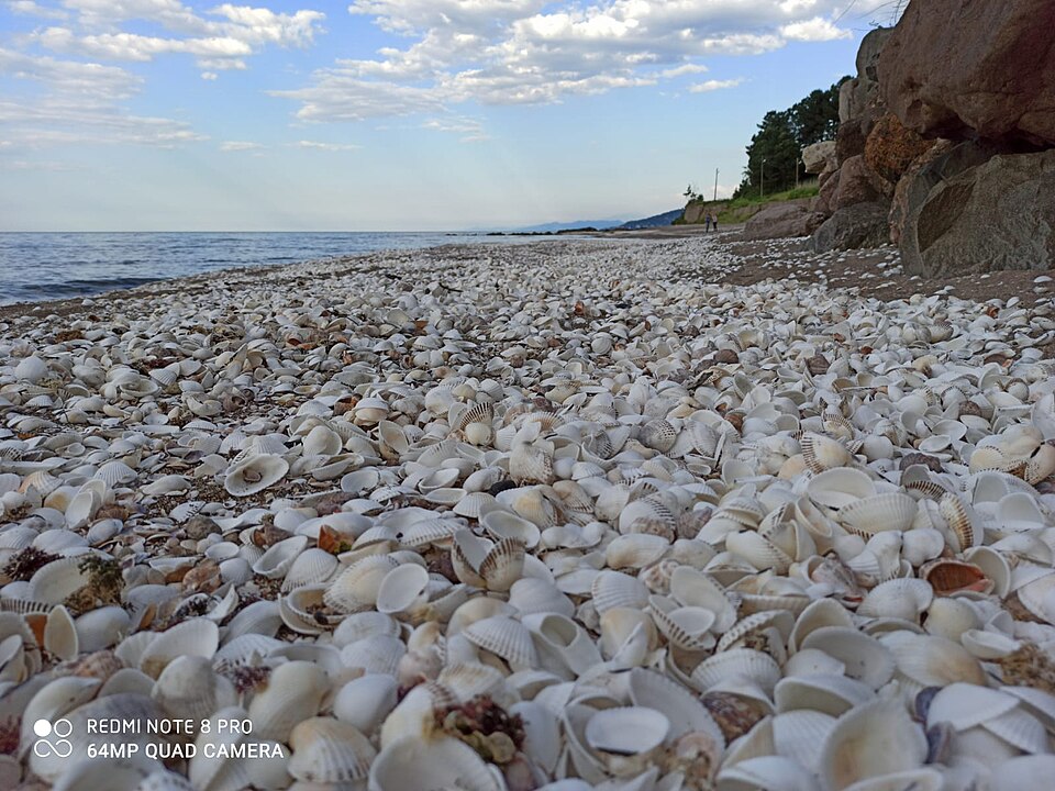 Black Sea Turkey Giresun
