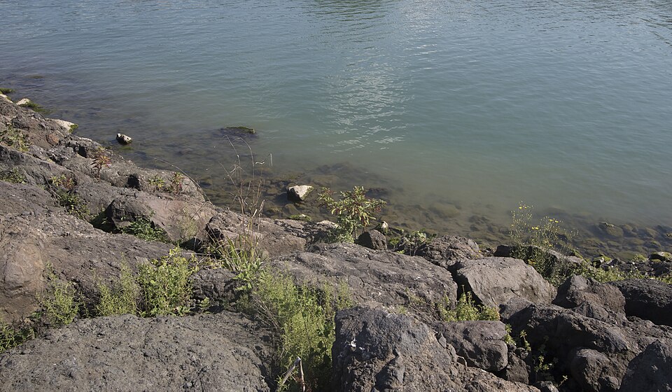 Black Sea shore in Espiye, Giresun 1