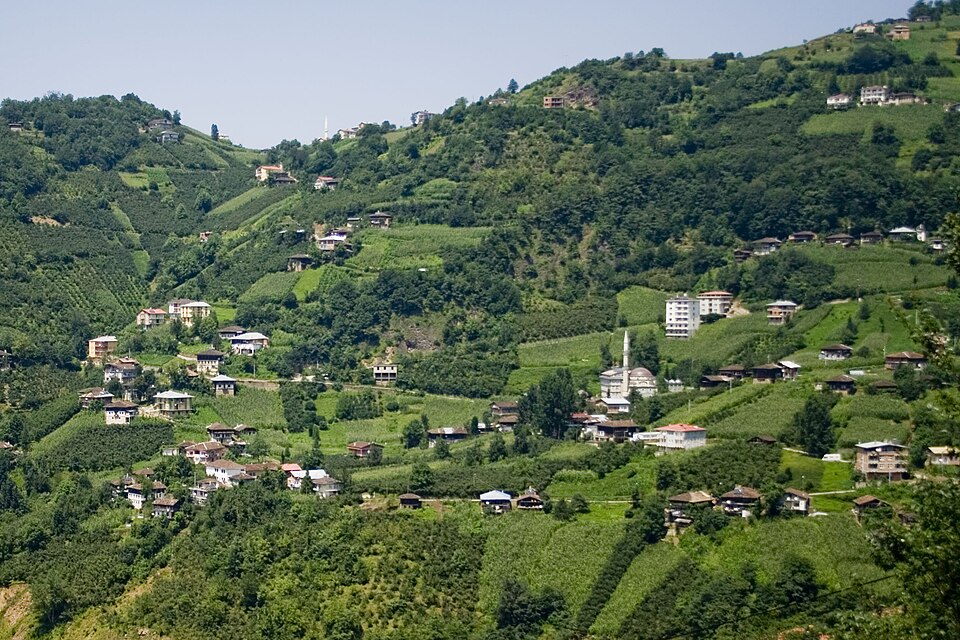 Village in Çaykara district2