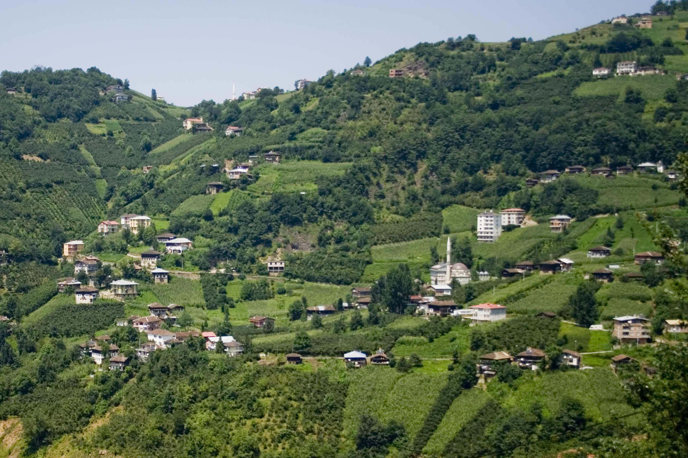 Village in Çaykara district2