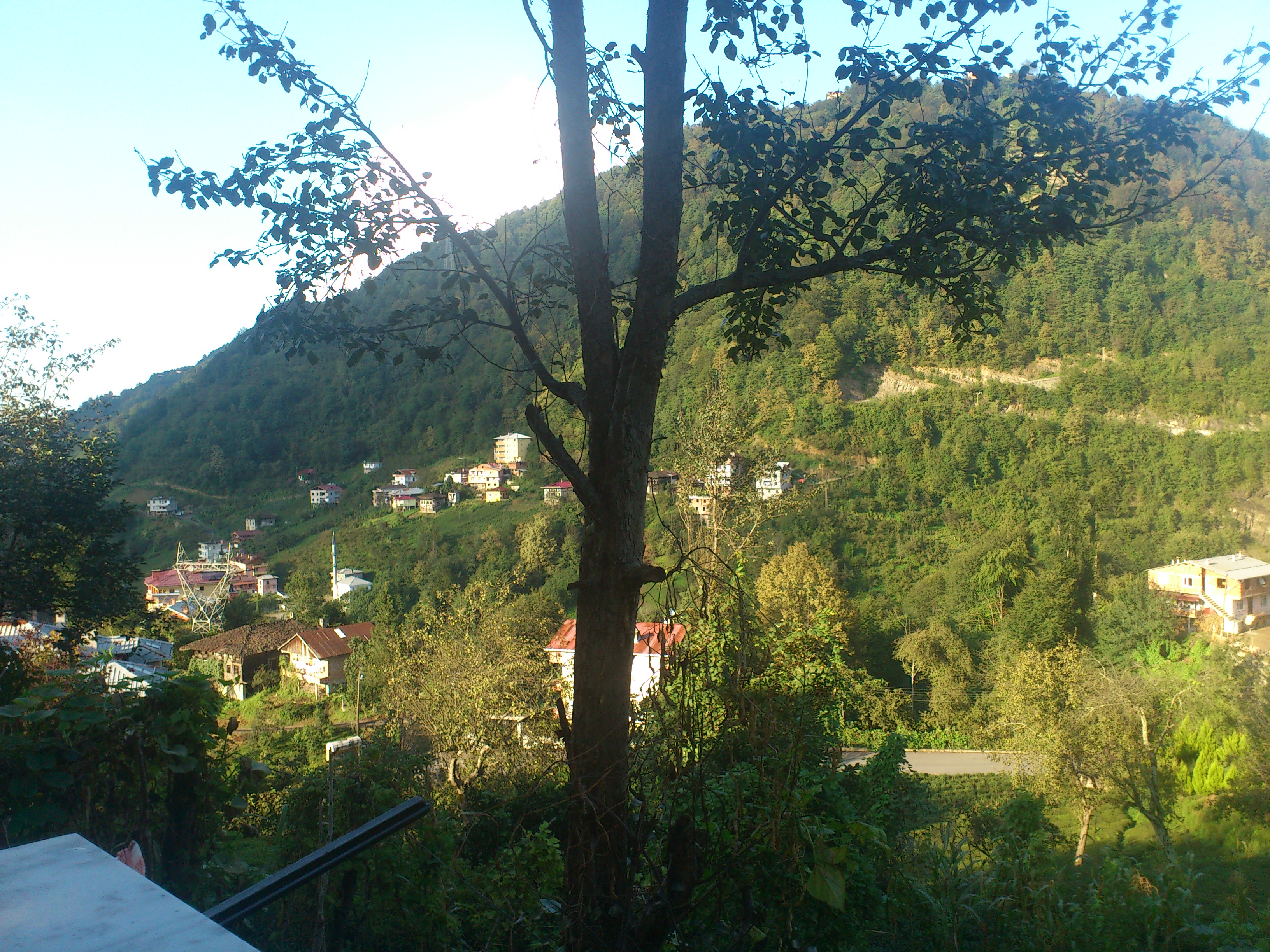 Esentepe mahallesi(eski adı meyvalı)