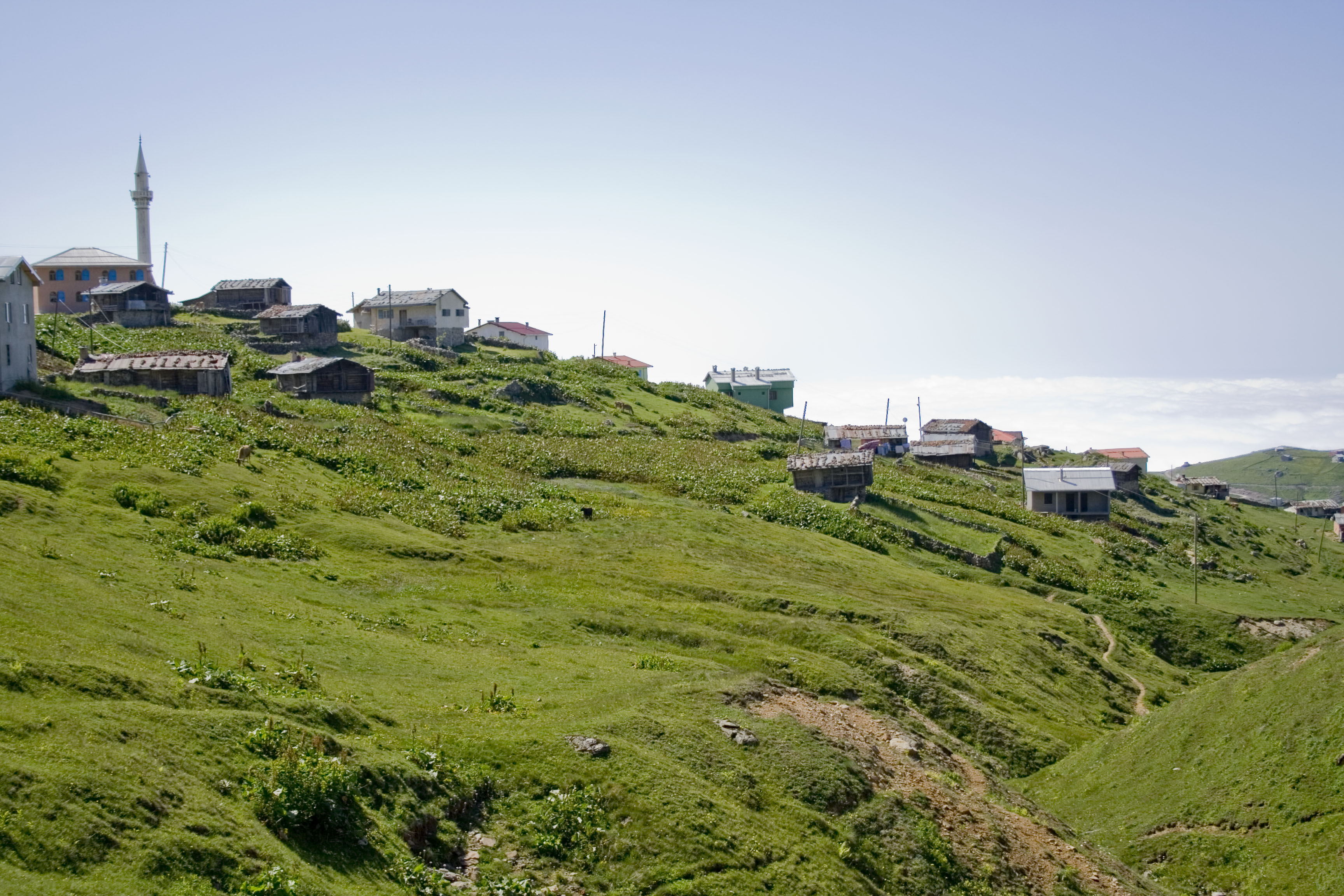 Summer village of Gorgoras