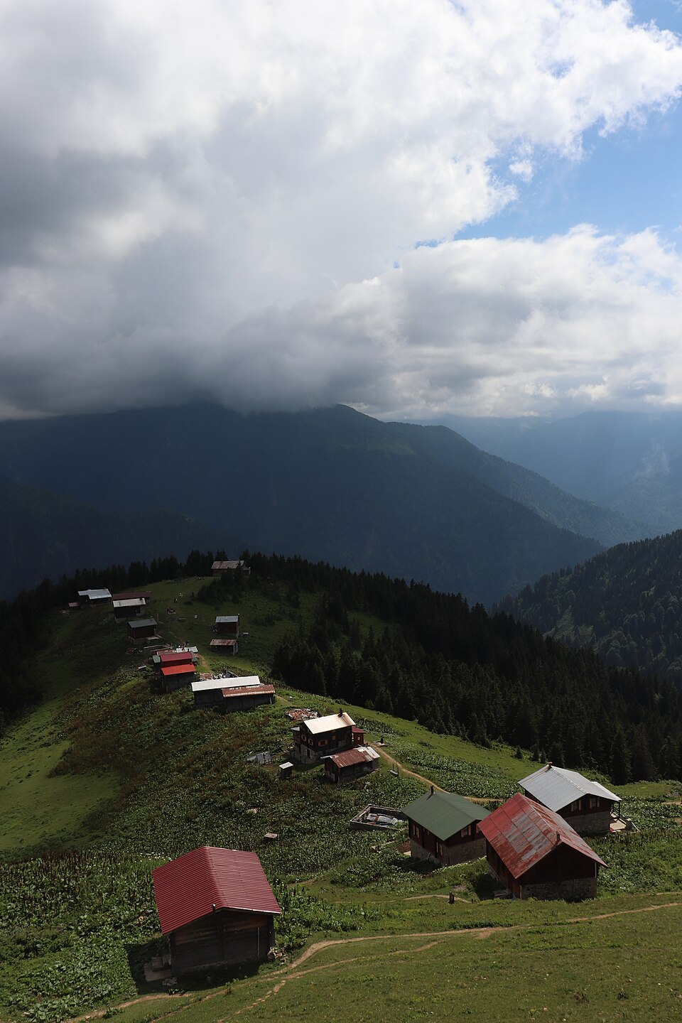 Pokut Yaylasi Rize