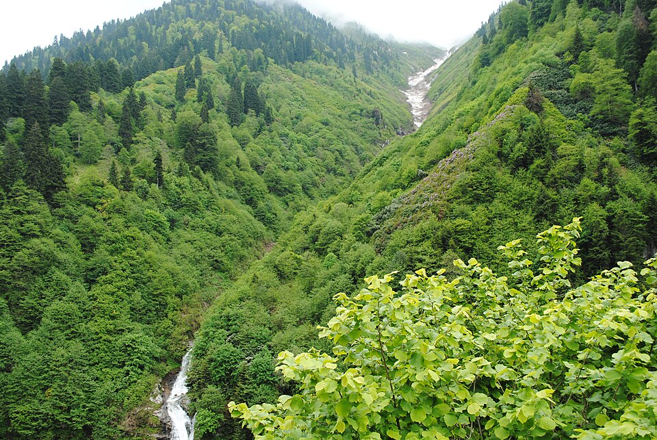 Ayder yaylası Rize panoramio