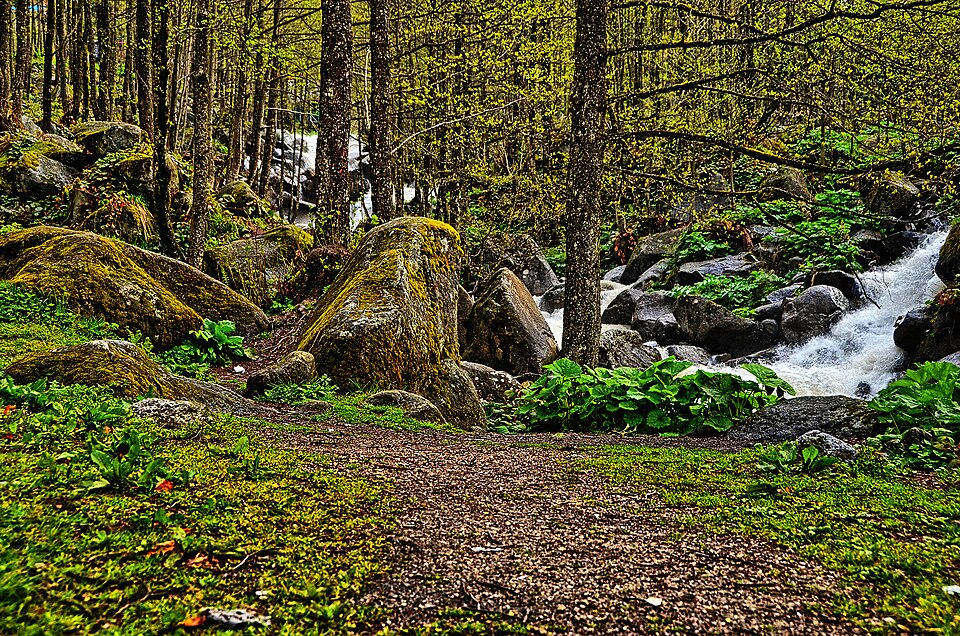 Ayder Yaylası Hdr ()