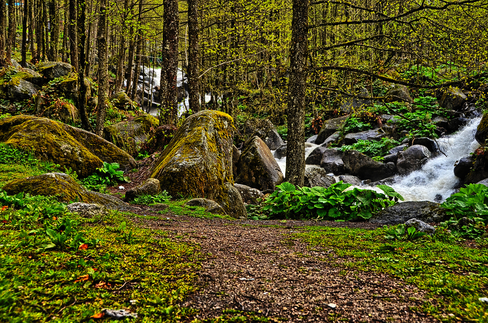 Ayder Yaylası Hdr ()
