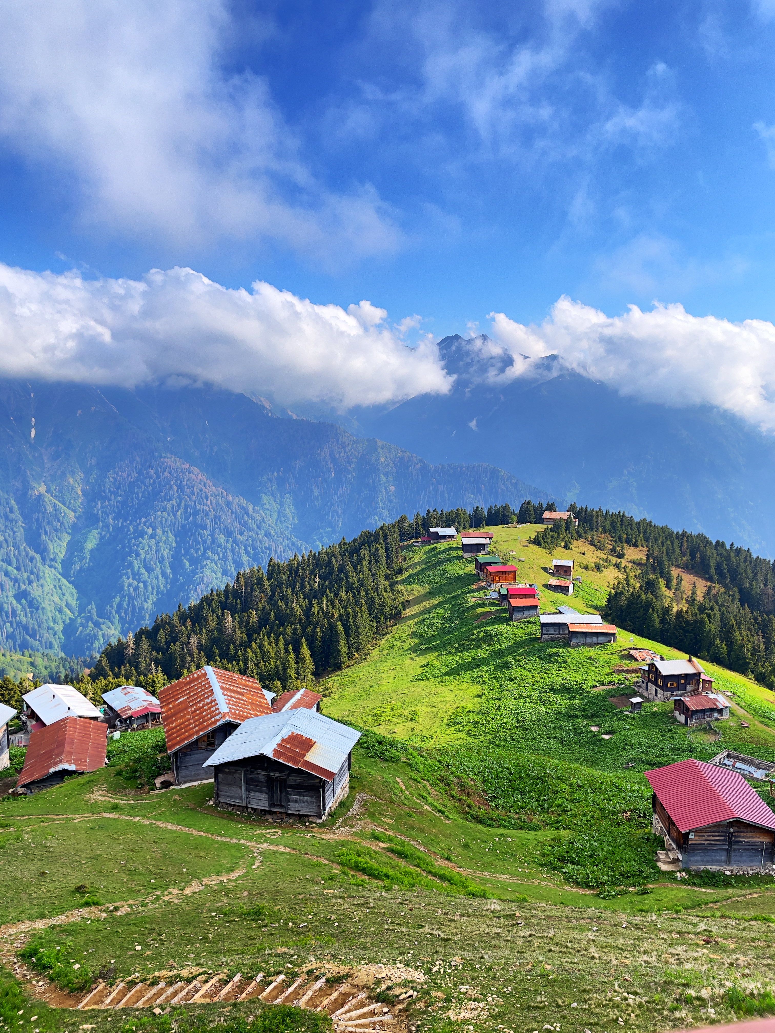 Rize pokut yaylası