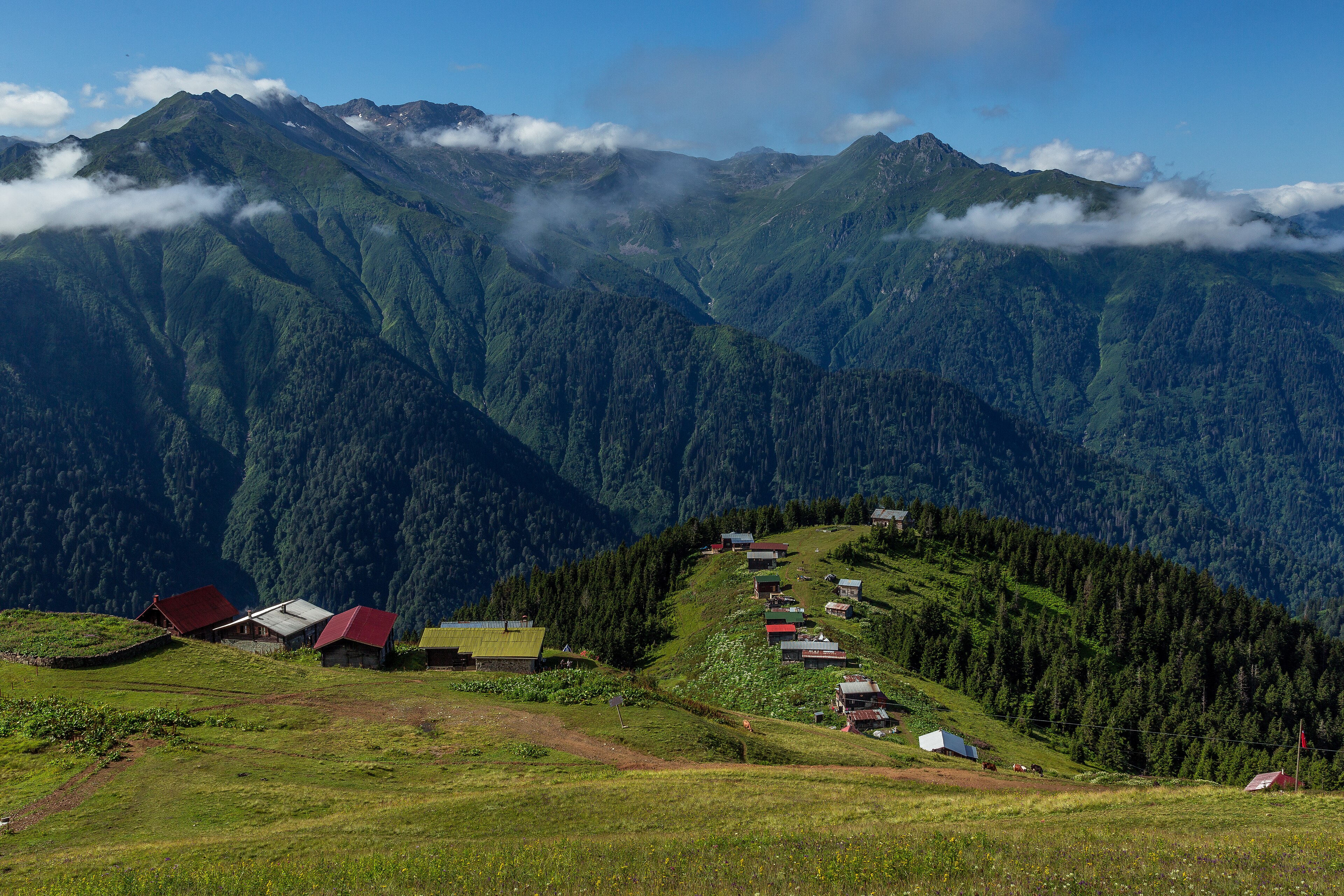 Home in the skies Pokut Yaylasi