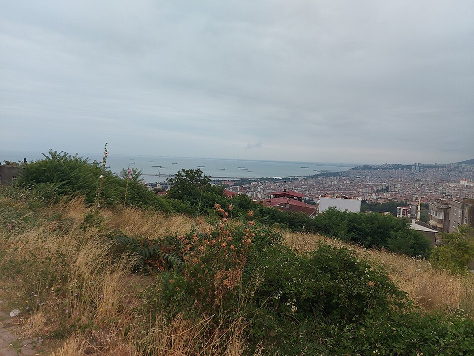 Karadeniz Kıyısı