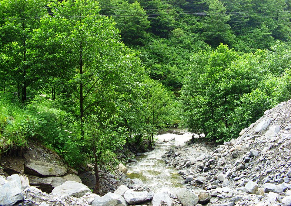 Orman ve Dere