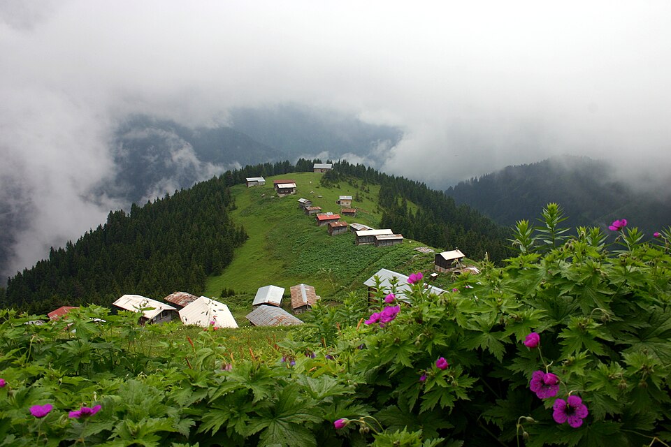 Karadeniz Yaylaları